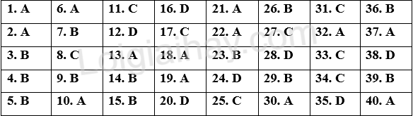 Đề thi học kì 2 Tiếng Anh 11 Global Success - Đề số 6 1 1