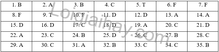 Đề thi học kì 2 Tiếng Anh 6 Global Success - Đề số 5 1 1