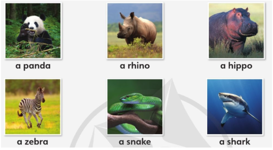 Tiếng Anh lớp 4 Unit 7 lesson 5 trang 116 Explore Our World 0 1