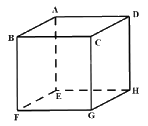 Đề thi học kì 1 Toán 12 Cánh diều - Đề số 4 1 5